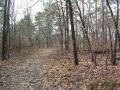 Looking back down the trail from the summit.jpg